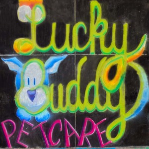 142-Lucky-Buddy-Anastassia