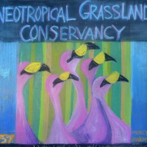 157-Neotropical-Grasslands-Conservancy-Mercy-Hawkins