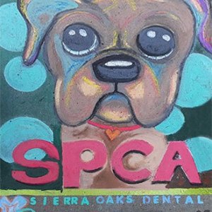 42.-Artist_-Jennifer-McKernon-_-Sponsor_-Sacramento-SPCA-_-Sierra-Oaks-Dental@0.5x