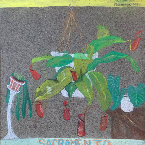2021-sq168-by-Amie-Tokuhama-for-Sacramento-Botanical-Garden-SacBo.org_