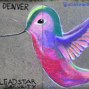 2021-sq173-by-Jennifer-McKernon-for-Lead-Star-Security