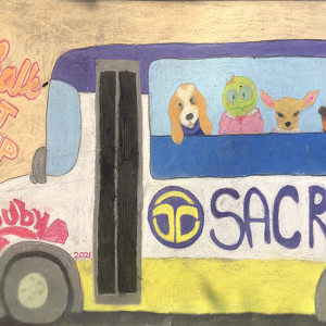 2021-sq216-by-Ruby-Green-for-Sacramento-Regional-Transit-District