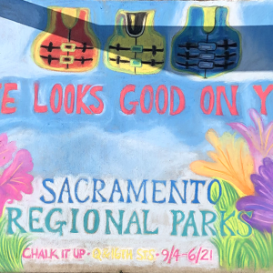 2021-sq239-by-Mary-Westmark-for-Sacramento-Regional-Parks