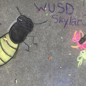 2021-sq83-by-Students-of-Washington-Unified-School-Disctrict-for-Washington-Unified-School-Disctrict