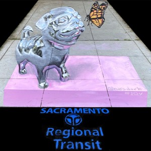 2022-sq104-by-Nestor-Mendoza-for-Sacramento-Regional-Transit-District