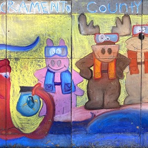 2022-sq137-by-Janese-Armstrong-for-Sacrmaento-Co-Regional-Parks