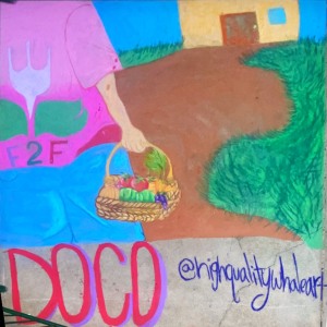 2022-sq225-by-Karina-Ornelas-for-DOCO