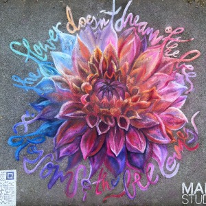 sq135-by-Stacy-Frank-for-Hacker-Lab-DBA-Made-Studio