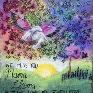 sq160-by-Kiefer-Sommerfield-for-Silver-Orange