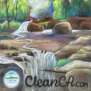 2024-sq120-by-Nicki-Johnson-for-Clean-California-by-CalTrans